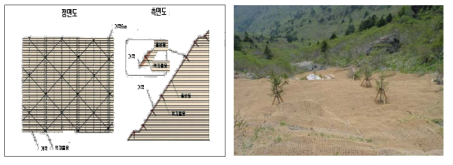 볏짚덮기 시공 단면도 및 황마 네트 시공사례