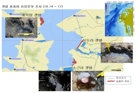 갯벌지역 잔존유류 분포 모니터링 사례