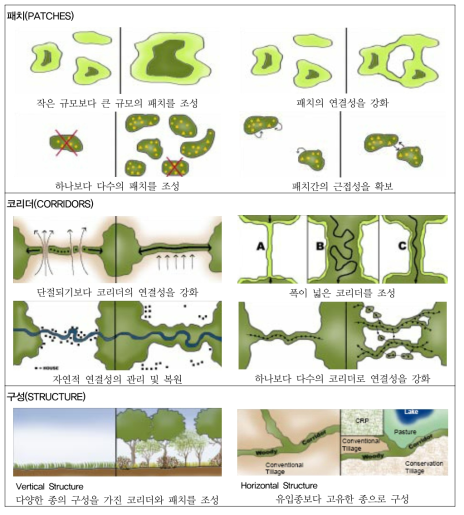 동식물을 고려한 계획 및 디자인의 원리 자료: USDA. NRCS. 1999. Conservation Corridor Planning at the Landscape Level-Managing for Wildlife Habitat