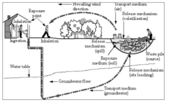 토양오염경로 자료: Lagrega et al. 2001. Hazardus Waste Management, 2001; 정승우. 2003. 재인용