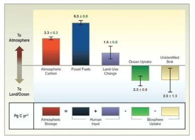 지구의 연평균 이산화탄소 유출입(PgC/yr)
