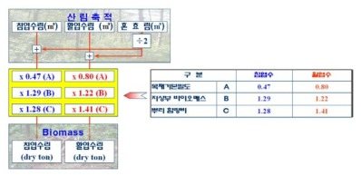 산림축적의 바이오매스 전환체계(손영모 외, 2007)