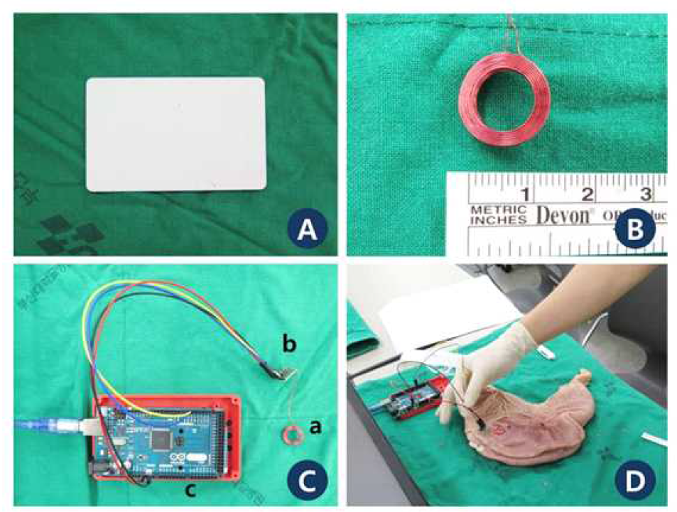 RFID device for ex vivo test A) Card-shaped tag (passive, IC chip) B) Antenna. Its diameter is about 9mm. C) Overview of RFID module. a; antenna, b; reader c; controller D) Porcine stomach was incised along greater curvature and tag was inserted into gastric cavity