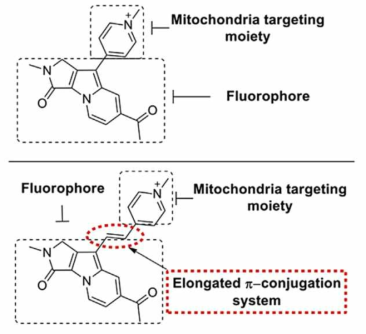 피리디늄(pyridinium) 분자단을 포함하는 새로운 서울플로어 미토콘드리아 프로브의 디자인 모식도