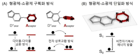 형광증폭 생물직교프로브 디자인 방법 (A) 형광체-소광제 구획화 방식으로 제작된 기존 형태의 형광증폭 생물직교프로브. 다이폴-다이폴 교환 혹은 전자 상호교환 방식을 통해 형광체의 들뜬 에너지가 테트라진 분자(소광제)로 전달되는 방식 (B) 본 연구에서 제시한 형광체-소광제 단일화 방식. 비전자기복사 전이를 통해 들뜬 에너지를 방출