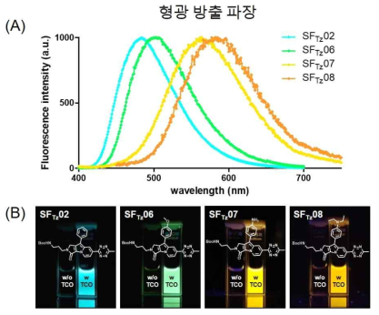 다양한 파장 영역에서 분자단일화 방식으로 제작된 서울플로어 기반 형광증폭 생물직교프로브 (A) 다양한 형광파장(파장, 초록, 노랑, 오렌지)를 지니는 서울플로어 기반 프로브의 형광 방출 그래프 (B) 서울플로어 기반 프로브의 화학적 구조 및 표적물질과의 반응 전(각 사진에서의 왼쪽)과 후(각 사진에서의 오른쪽)의 형광 신호 증폭에 관한 사진