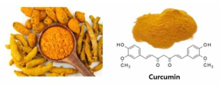 울금에서 추출된 생리활성 화합물 curcumin