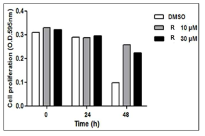 정상섬유아세포에서 인삼의 유효성분(R)에 의한 세포 증식 촉진 검증