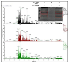 전 처리된 시료의 전체 이온 크로마토그램의 상대적 정량 강도 분석결과