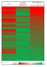 막 단백질의 서열 정도 (sequence coverage)를 나타내는 37종의 Heat map의 결과