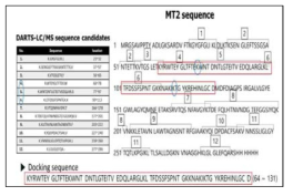 인삼 유효 성분(R)과 표적 단백질(MT2)간의 결합부위의 아미노산 서열 비교 결과