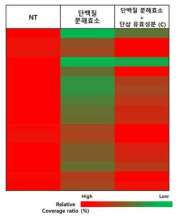 막 단백질의 서열 정도 (sequence coverage)를 나타내는 17종의 Heat map의 결과