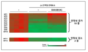 다중 표적단백질 (MT) 후보군 12종 도출