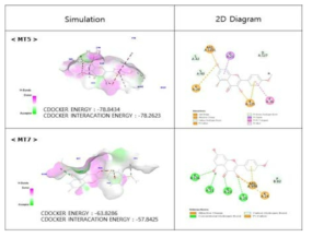 캠포페리아 가랑갈 유효성분 (K)와 표적 단백질 MT5, MT7 간의 in silico docking simulation 결과