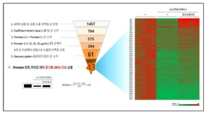 장미열매 유효성분(T)에 의하여 20 % 이상의 단백질 안정성 증가율을 보이는 다중 표적단백질 (MT) 후보군 43종 heat map 결과
