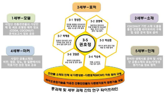 중과제 및 세부과제 간의 유기적 연계성 도모