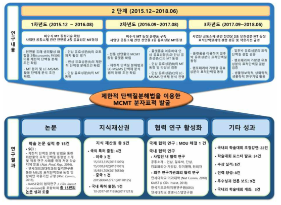 2단계 연구 결과 요약 및 성과 도출