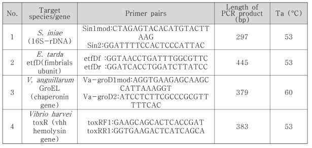 병원성미생물의 PCR 검출에 사용된 primer 정보