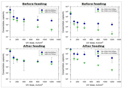 양식장 배출수 실험실 규모 UV 처리에서 tetB, 16s rRNA 유전자 불활성화 효율, 상(급이전 배출수), 하(급이후 배출수), 좌(tetB), 우(16s rDNA)