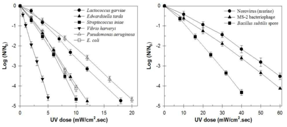 자외선에 의한 어류병원균 및 바이러스의 불활성화 효율 그래프 (사용 원수: 해수, UVT: 98%, pH 7.2; 실험 장치: collimated beam apparatus)