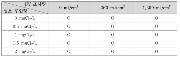 파일럿 염소/UV 장치 공정 시험 운영 조건