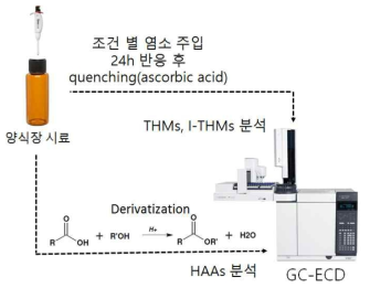 소독부산물 발생 및 측정 개요