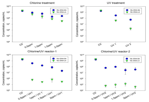 파일럿 수처리 시스템의 염소단독, UV단독, 염소/UV 결합공정에서의 16s rDNA 불활성화 평가 결과