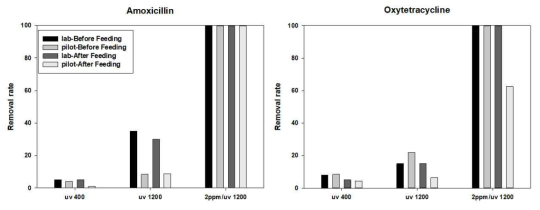 실험실, 파일럿 규모의 항생제 제거율 비교