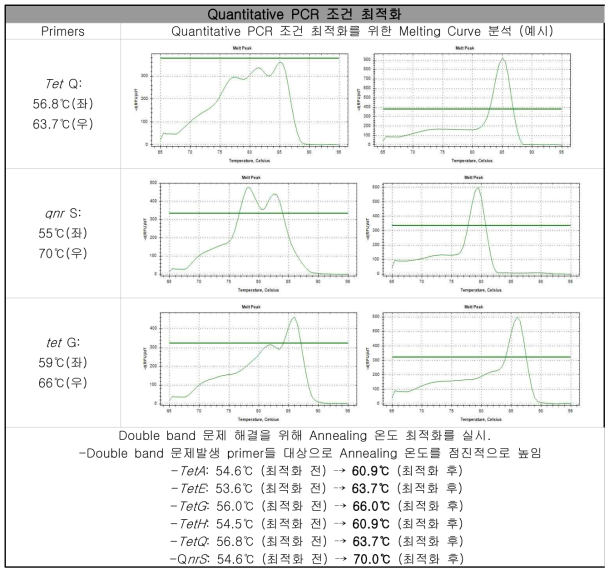 Quantitative PCR 정량 분석을 위한 annealing 온도 최적화