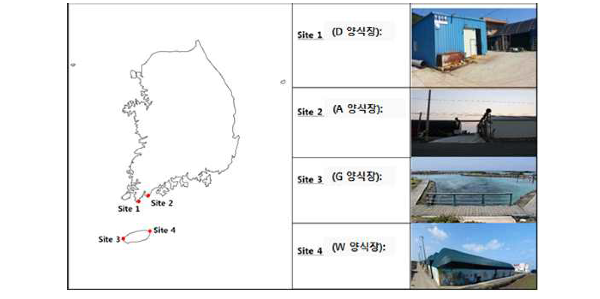 지역별 항생제 내성 유전자 정량을 위한 대표양식장 4개소