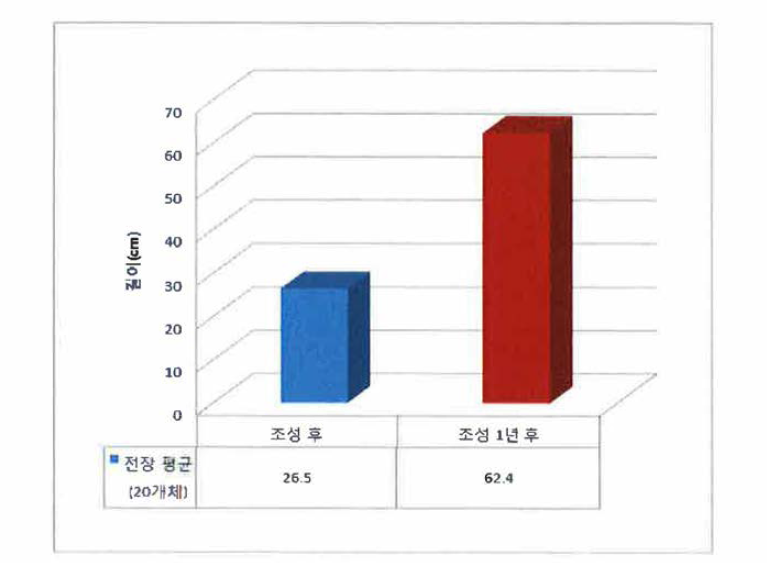 Seed Bnak 단지 조성 1년 후 해조의 생장 비교