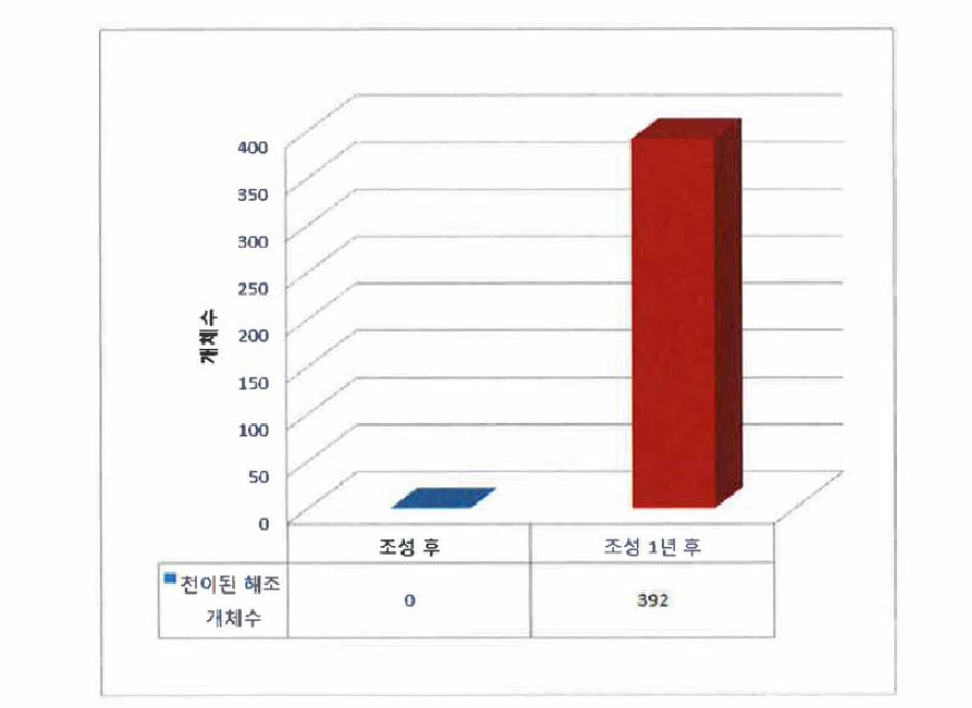 Seed Bnak 단지 조성 1년 후 해조의 생장 비교