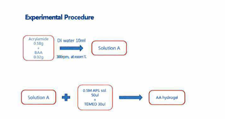 Acrylamide 하이드로겔 합성과정