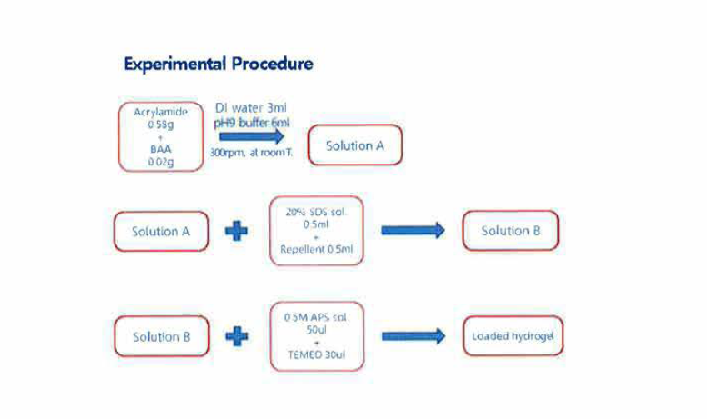 Target-loaded acrylamide 하이드로겔 합성과정