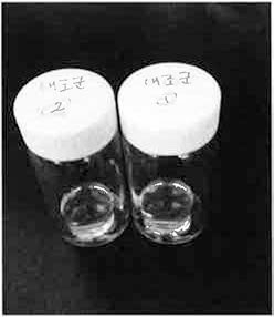 합성된 Acrylamide 하이드로겔