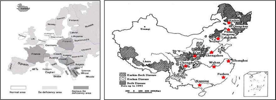 유럽 토양 셀레늄 분포도와 중국내 케샨, 케신백 병 분포지도 (Hasselberger, 2006; Li et al., 2014)
