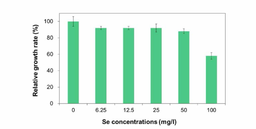셀레늄 농도에 따른 스피룰리나의 생장률