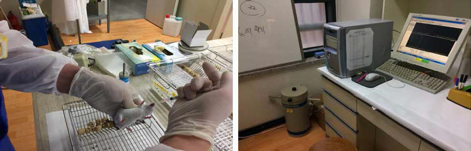 Feeding needle과 syringe를 이용하여 방사능 동위원소로 표지된 미세조류를 마우스에게 섭식시키는 모습과 방사능 동위원소 측정기