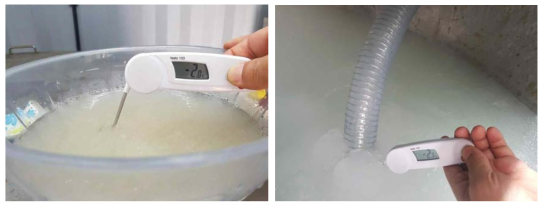 샤베트 얼음 온도 측정
