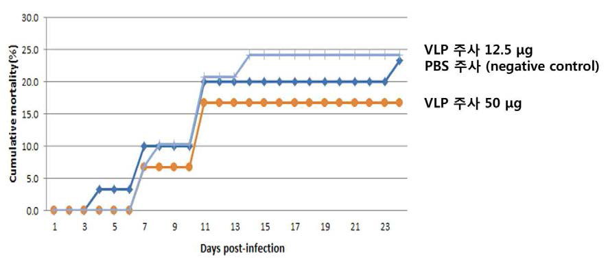 능성어 모델에서 주사용 백신 투여량에 따른 RGNNV 인위감염 누적 폐사율. 능성어 (16.4cm±1.32cm, 70.3±17.27gram)를 25도에서 1주일간 순치 후 정제한 주사용 백신 VLP를 접종 하였음. 백신 접종 후 42일 뒤에 인위적으로 2/3×1012TCID50의 RGNNV를 감염시켰고 바이러스 감염에 따른 능성어의 누적 폐사율을 관찰하였음