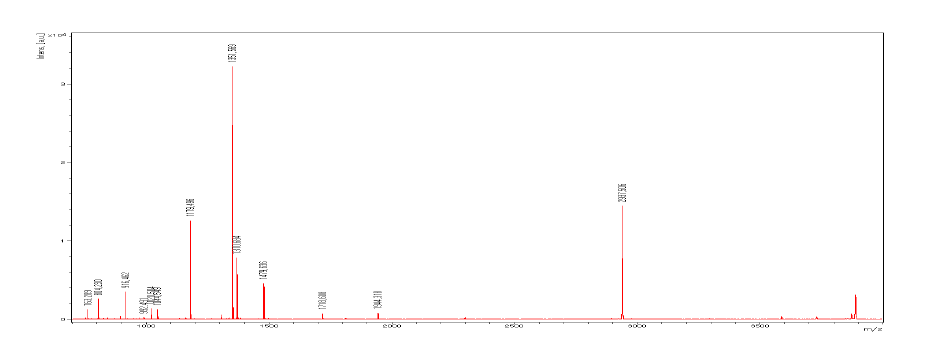 주사용 백신 RGNNV capsid protein의 spectrum figure 결과