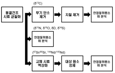 다 원소 안정동위원소의 분석 절차