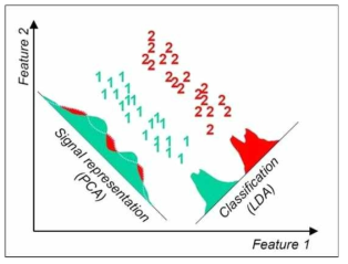 주성분분석(Principal Component Analysis)와 선형판별분석(Linear Discriminant Analysis)의 비교