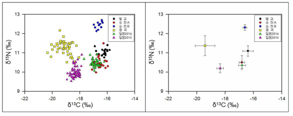 지역별 꼬막의 탄소, 질소 안정동위원소 비 및 평균값