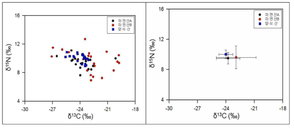 다슬기의 탄소, 질소 안정동위원소 비 및 평균값