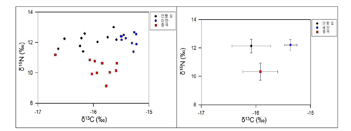 지역별 꽃게의 탄소, 질소 안정동위원소 비 및 평균값