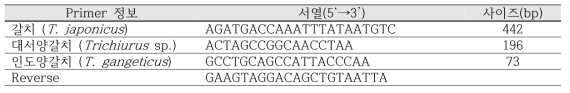 갈치류 3종 특이 forward primer 및 공통 reverse primer