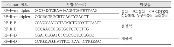 설계된 primer 정보