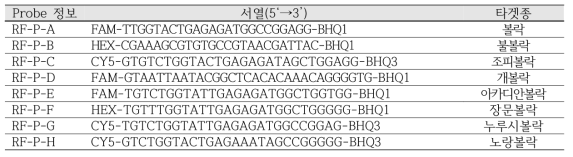 볼락류 8종 특이 probe 정보