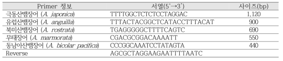 뱀장어류 5종 특이 primer 정보